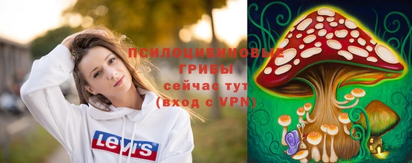 экстази Кулебаки