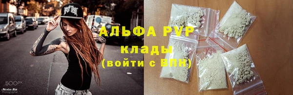 спиды Кукмор