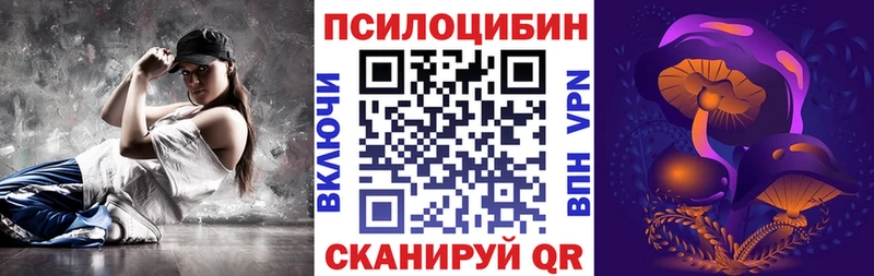 Купить закладки  Шагонар  Псилоцибиновые грибы прущие грибы 